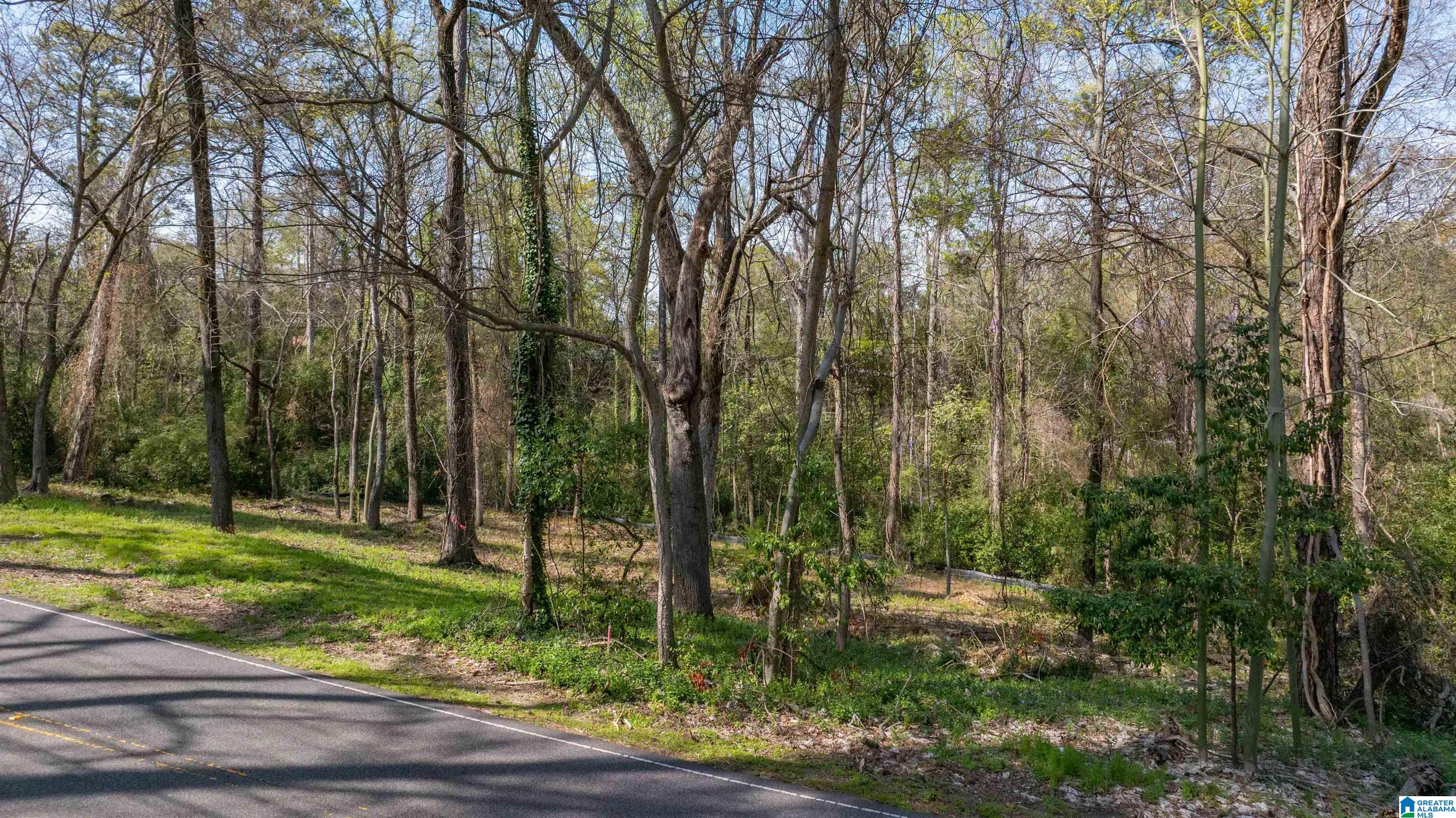 3328 Cahaba Heights Road, Unit 3A Birmingham, AL 35243 - Photo 1 of 4