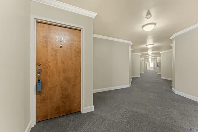 $117,000 | 2045 North 3rd Street, Unit 301, Baton Rouge, LA 70802