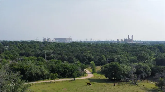 a view of a grassy field with trees