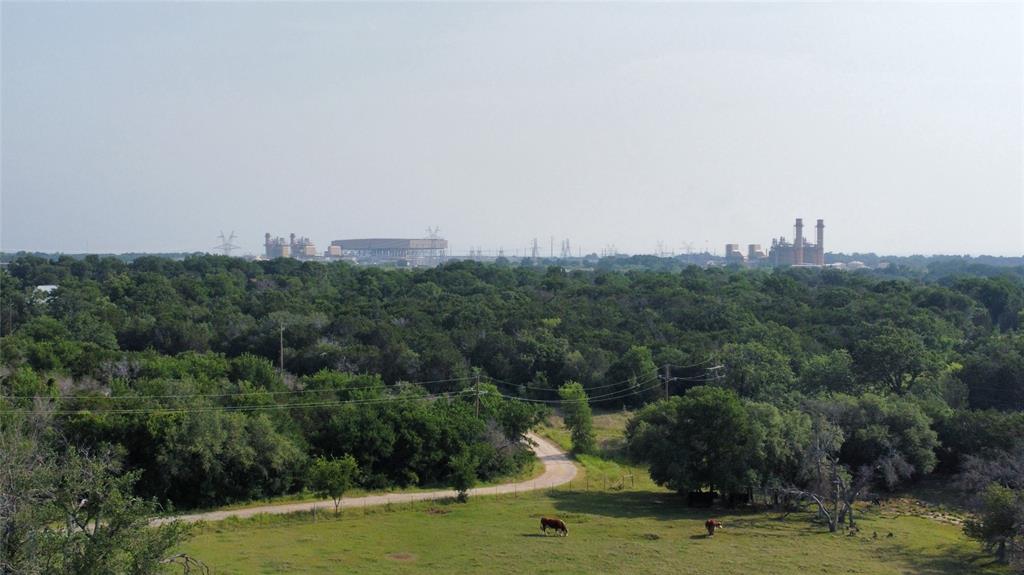 a view of a grassy field with trees