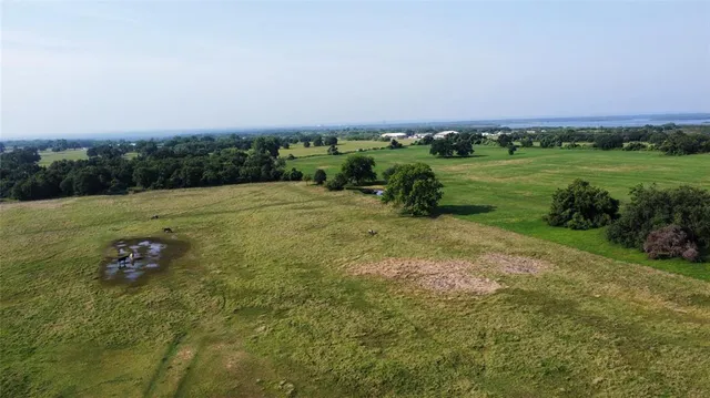 a view of a field with an trees