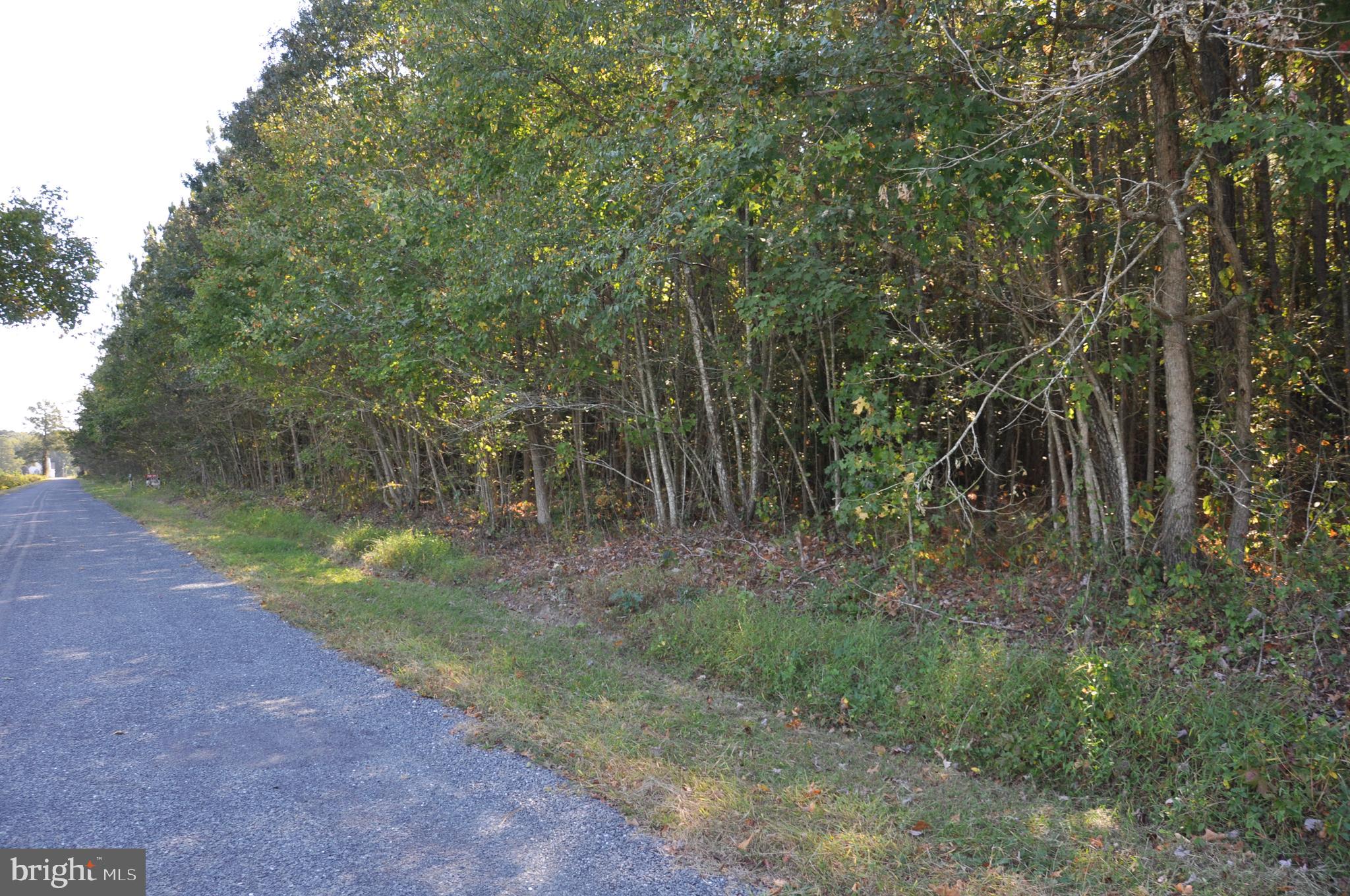 Lot 2 Bryan Hall Road Marion Station, MD 21838 - Photo 3 of 9 Gallery Image 3