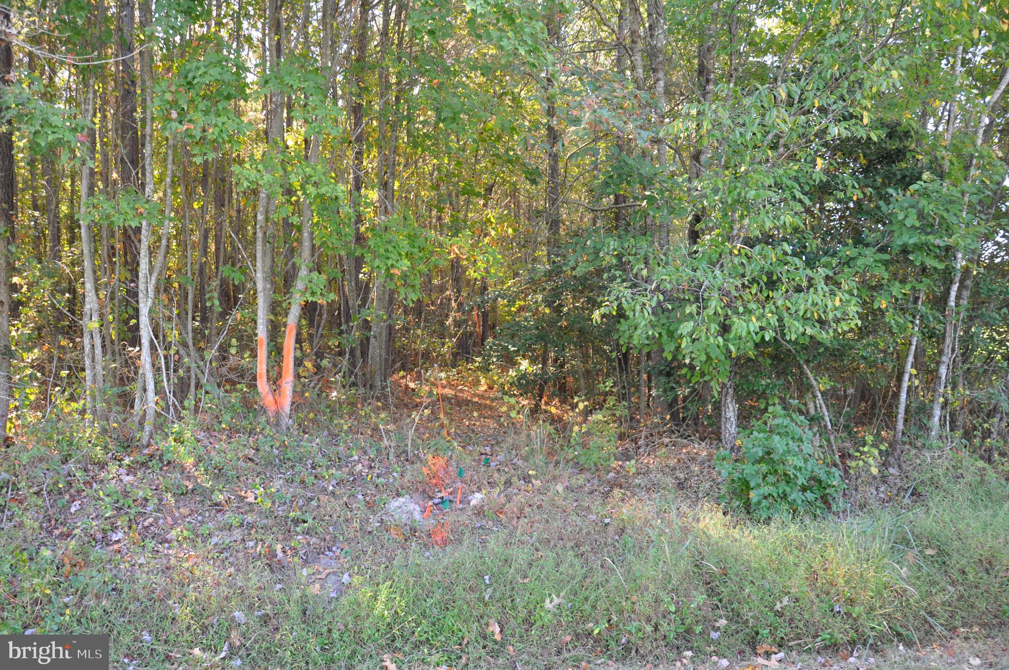Lot 2 Bryan Hall Road Marion Station, MD 21838 - Photo 4 of 9 Gallery Image 4