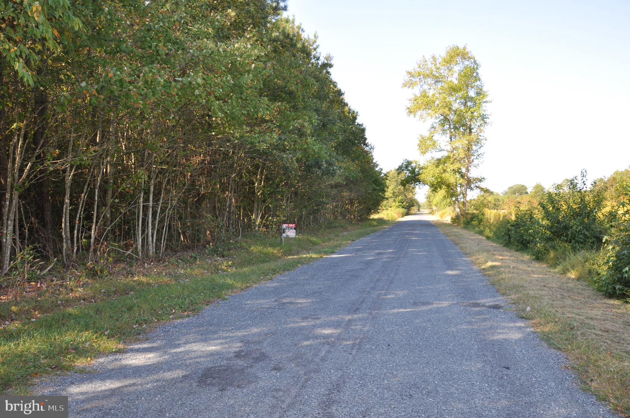 Lot 2 Bryan Hall Road Marion Station, MD 21838 - Photo 5 of 9 Gallery Image 5
