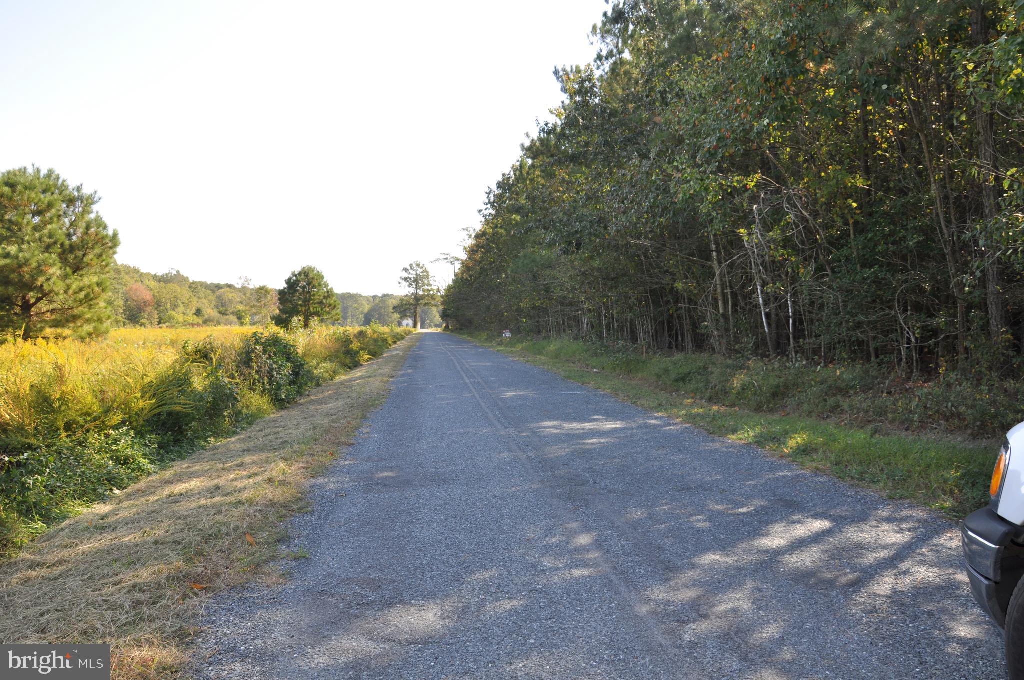 Lot 2 Bryan Hall Road Marion Station, MD 21838 - Photo 6 of 9 Gallery Image 6