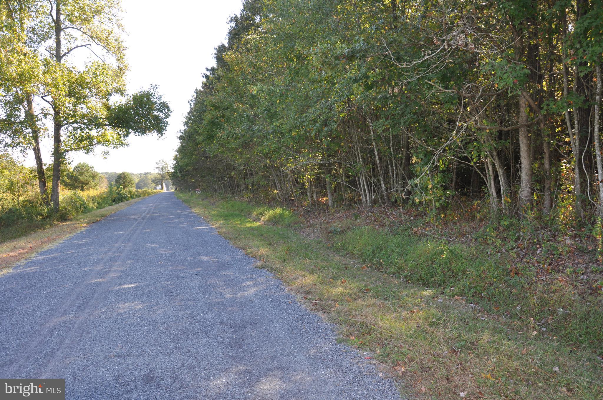 Lot 2 Bryan Hall Road Marion Station, MD 21838 - Photo 7 of 9 Gallery Image 7