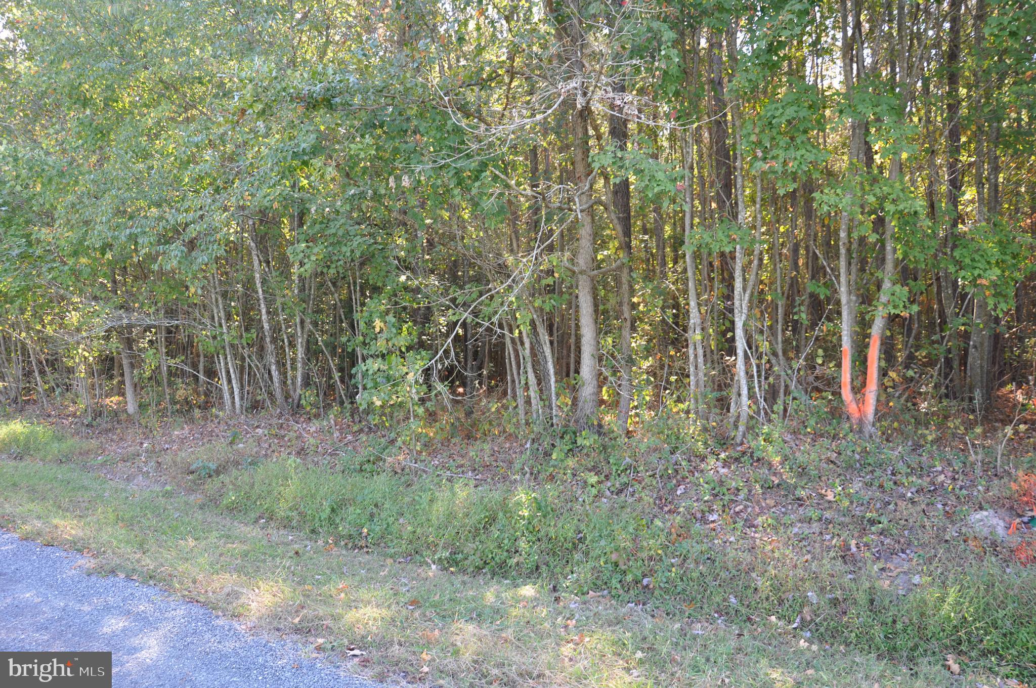 Lot 2 Bryan Hall Road Marion Station, MD 21838 - Photo 9 of 9 Gallery Image 9