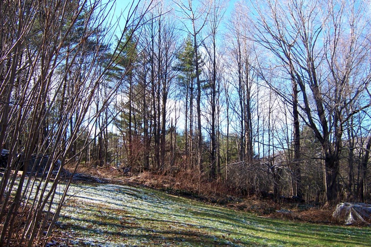 140 West Center Road West Stockbridge, MA 01266 - Photo 5 of 8 a view of backyard with green space