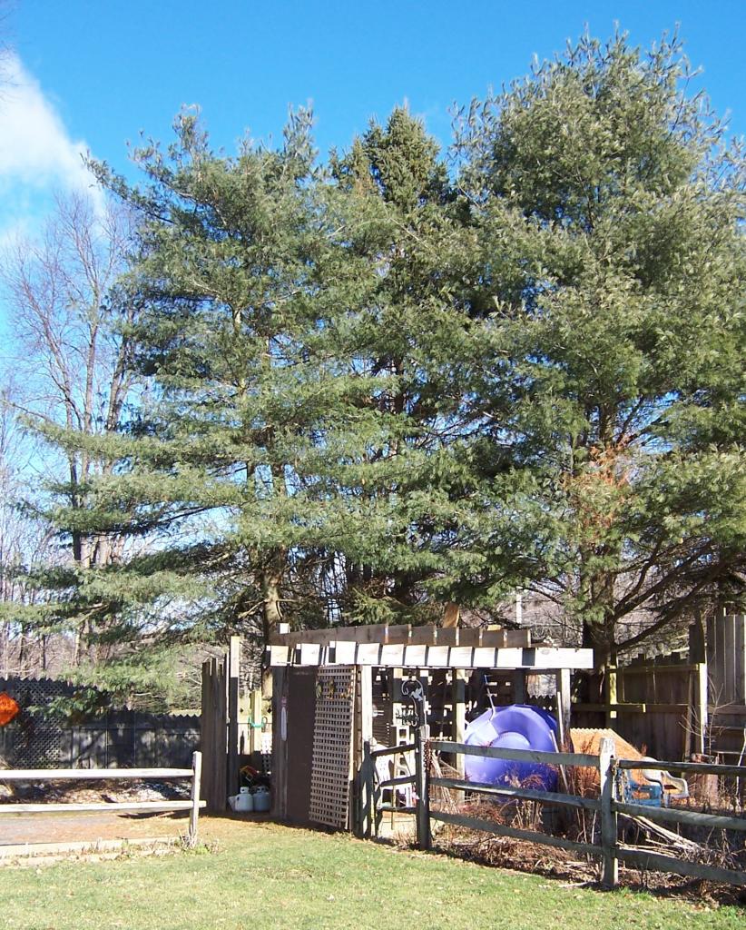 140 West Center Road West Stockbridge, MA 01266 - Photo 7 of 8