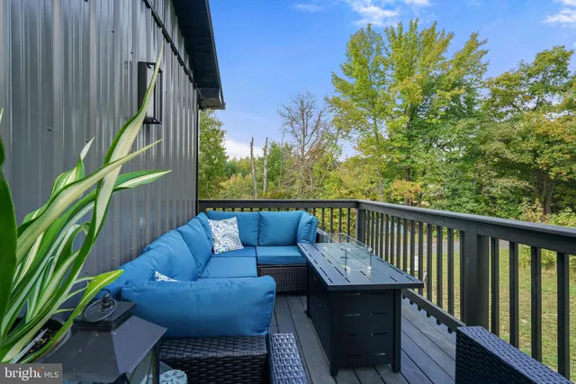 a view of a garden with a tree