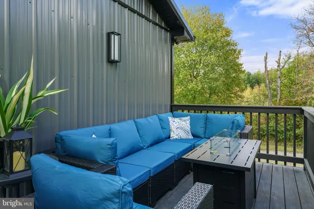 a view of a trees with a big yard