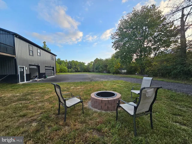 a view of a forest with trees in the background