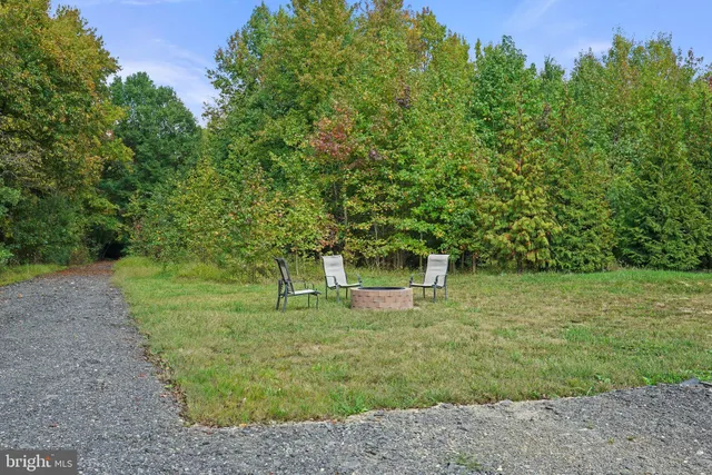 a view of a dirt road with trees in the background