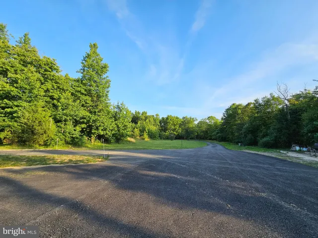 a view of a tree in the middle of a yard