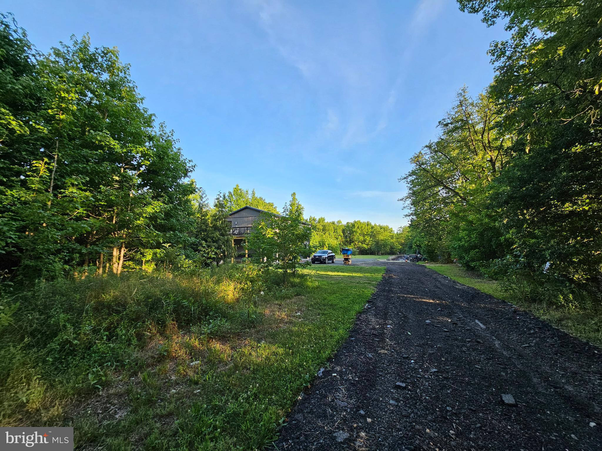 201 Johnstown Road Elkton, MD 21921 - Photo 56 of 84 a view of a garden with a tree
