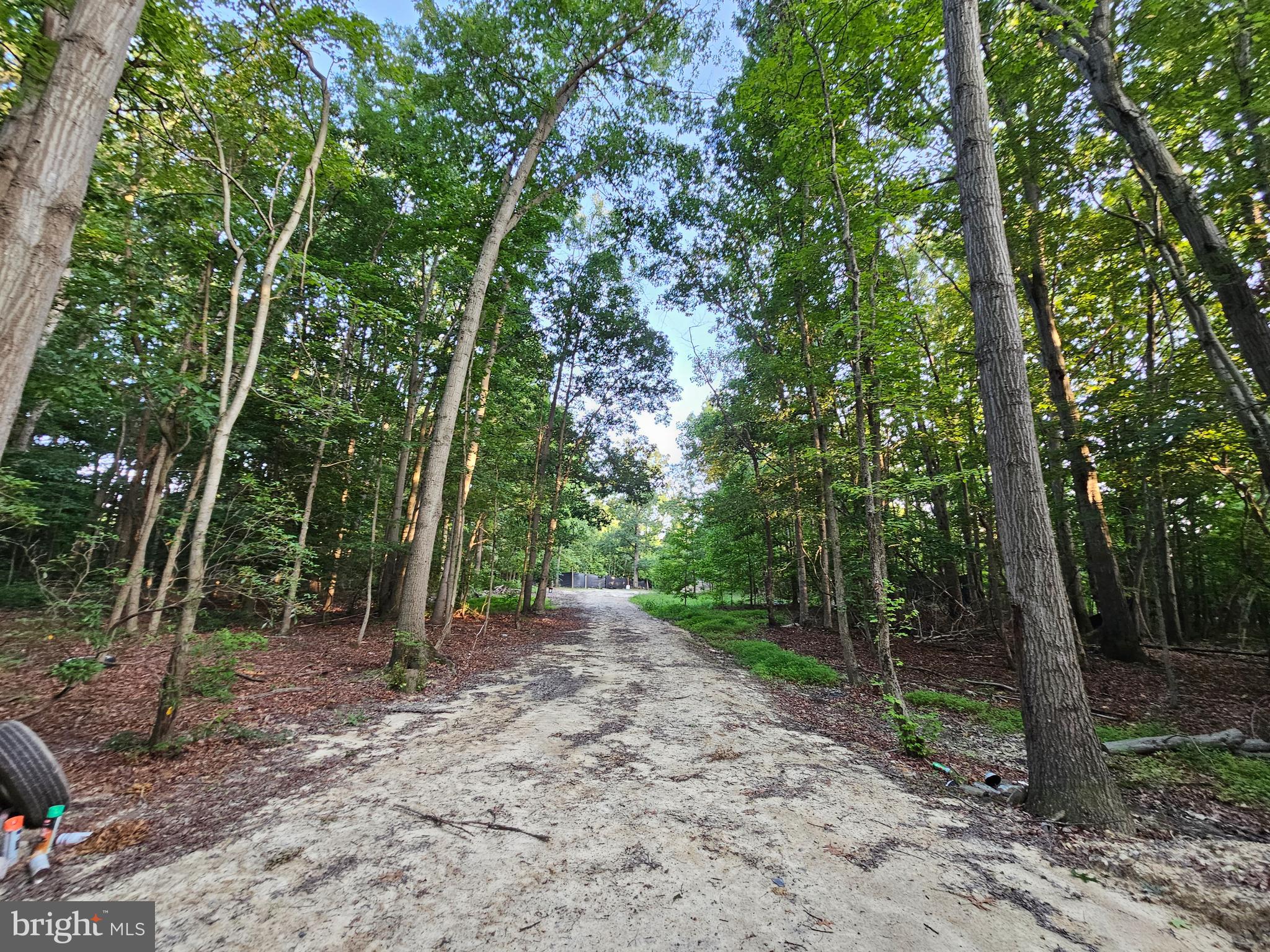 201 Johnstown Road Elkton, MD 21921 - Photo 64 of 84 a view of a forest with trees in the background