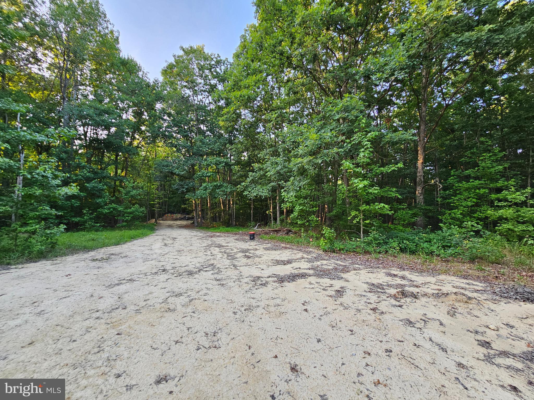 201 Johnstown Road Elkton, MD 21921 - Photo 66 of 84 a view of a dirt road with trees in the background