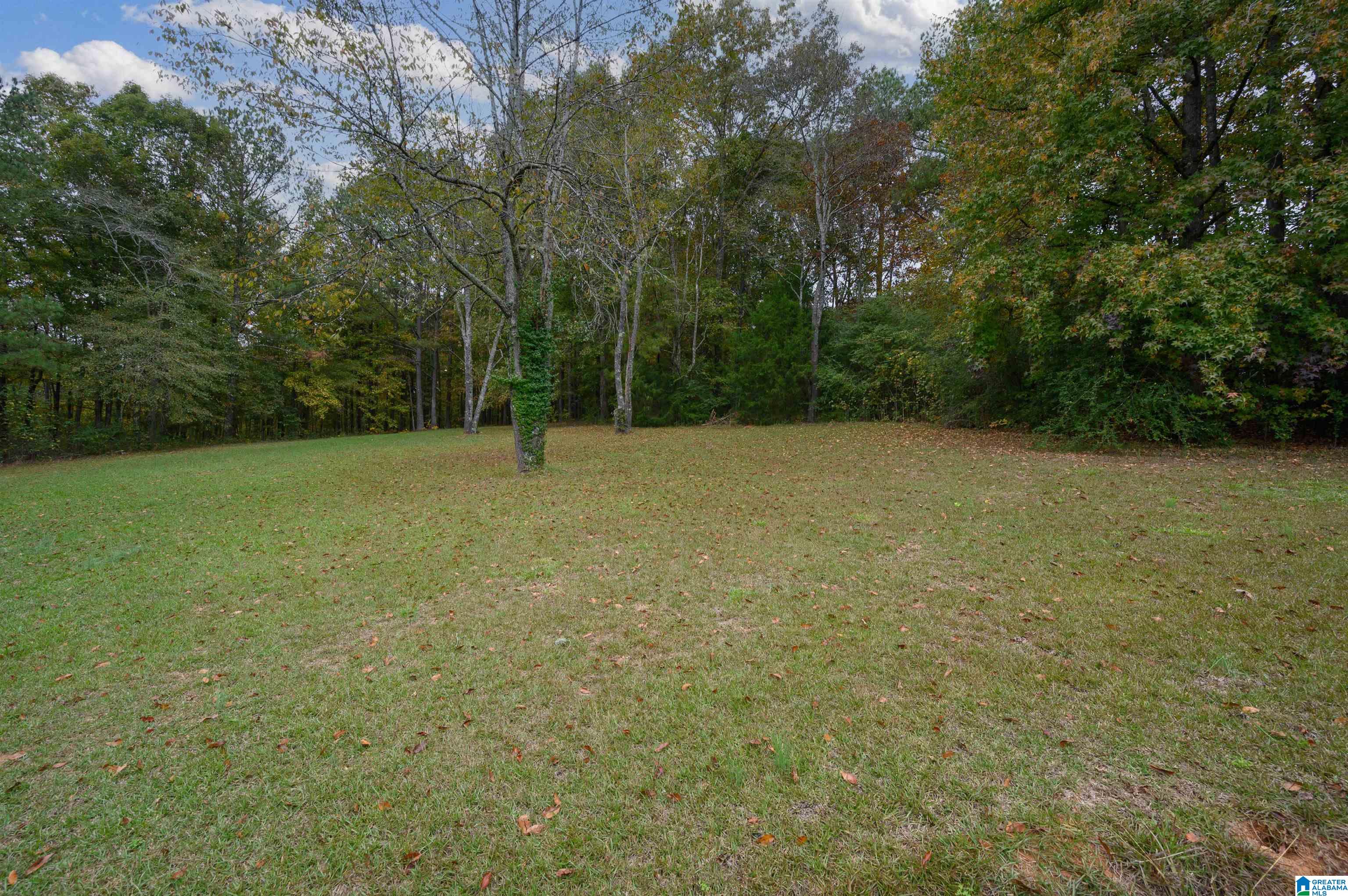 8988 Bankston Road Warrior, AL 35180 - Photo 44 of 47