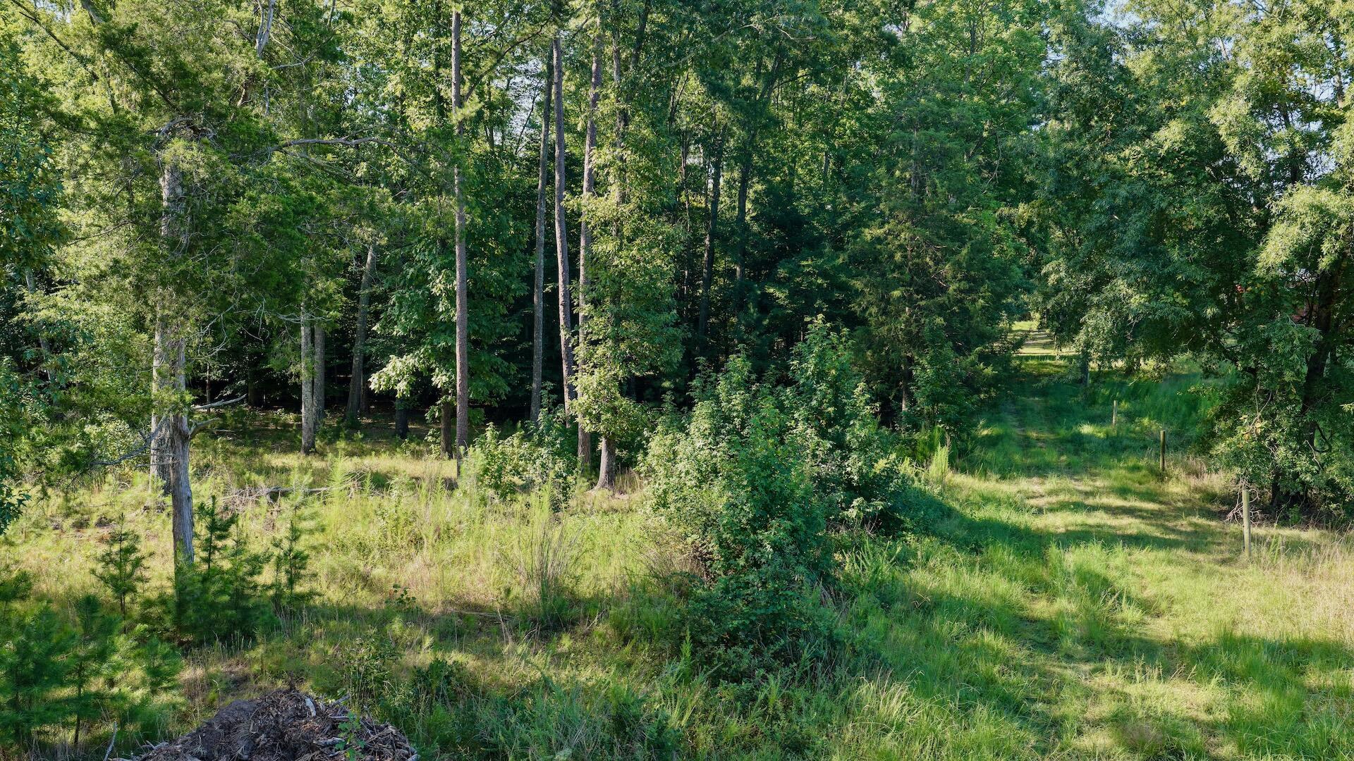 0 Lewis Mill Road Clarksville, VA 23927 - Photo 5 of 50 Clarksville - 5