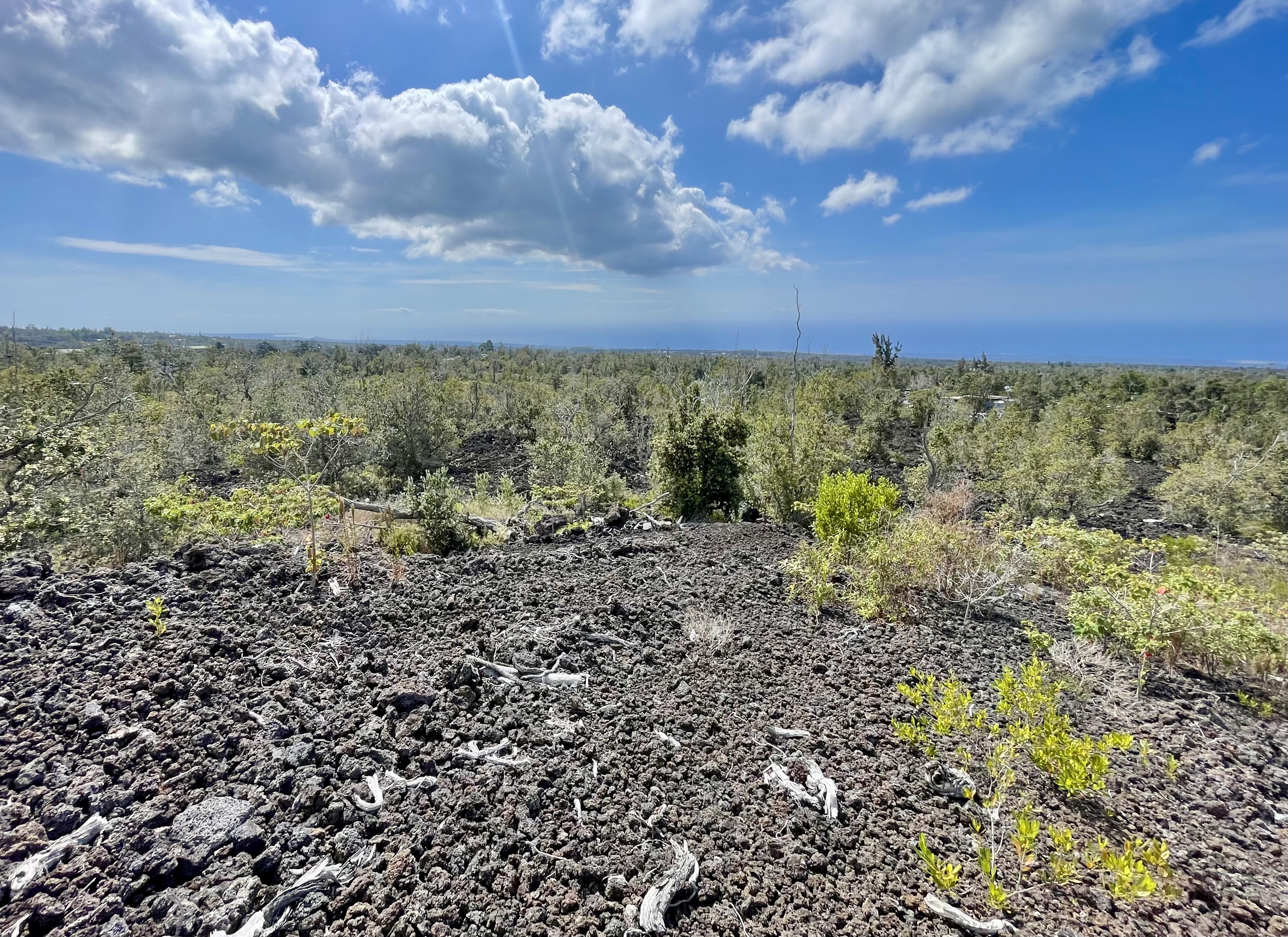 92-9079 Lot 16 Ginger Blossom Lane Ocean View, HI 96704 - Photo 2 of 6 a view of a large yard with lots of green space