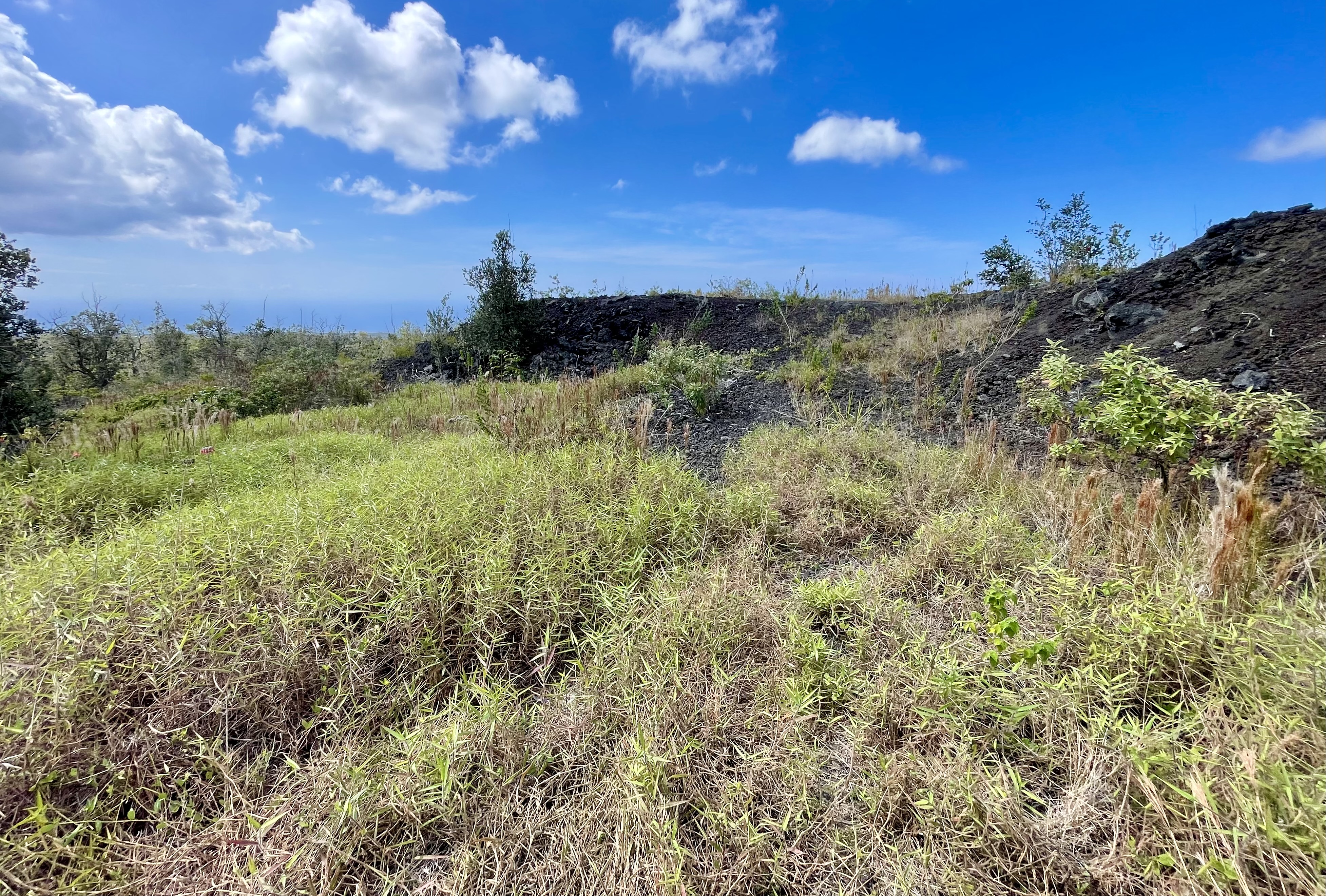 92-9079 Lot 16 Ginger Blossom Lane Ocean View, HI 96704 - Photo 6 of 6 a view of a yard with a tree