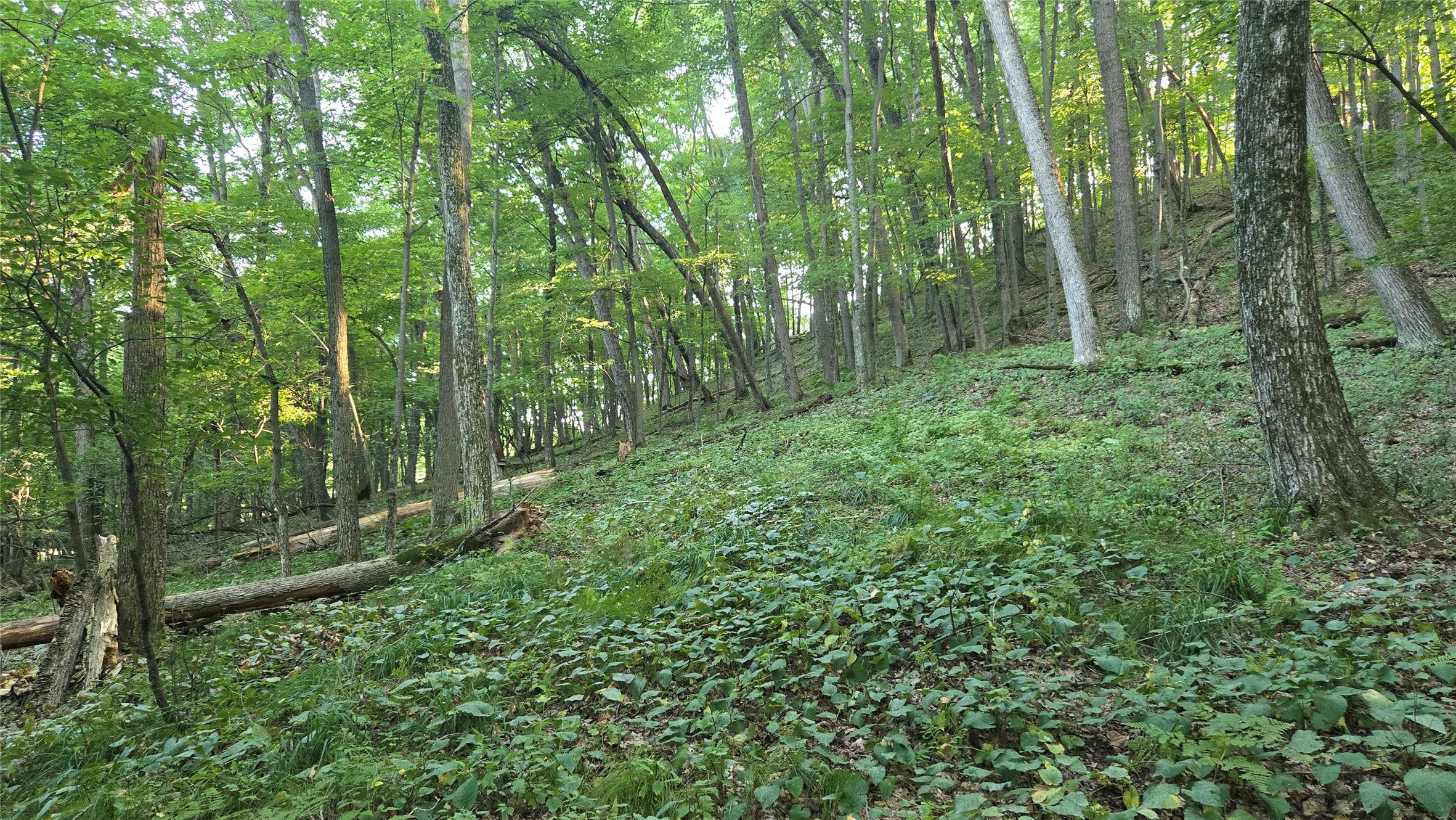 E01 State Highway Ridgeland, WI 54763 - Photo 28 of 59 Gallery Image 28