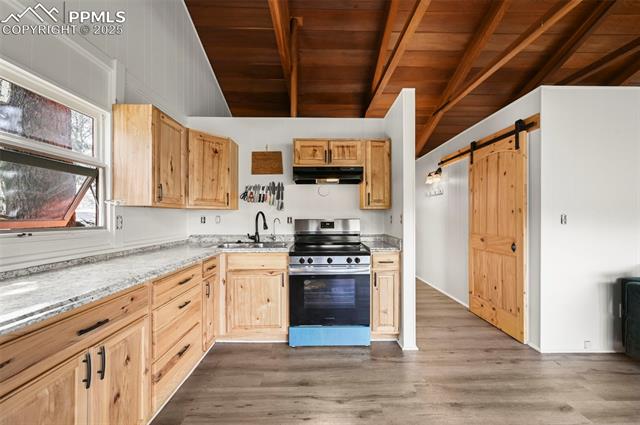 580 Timber Ridge Road Divide, CO 80814 - Photo 6 of 29