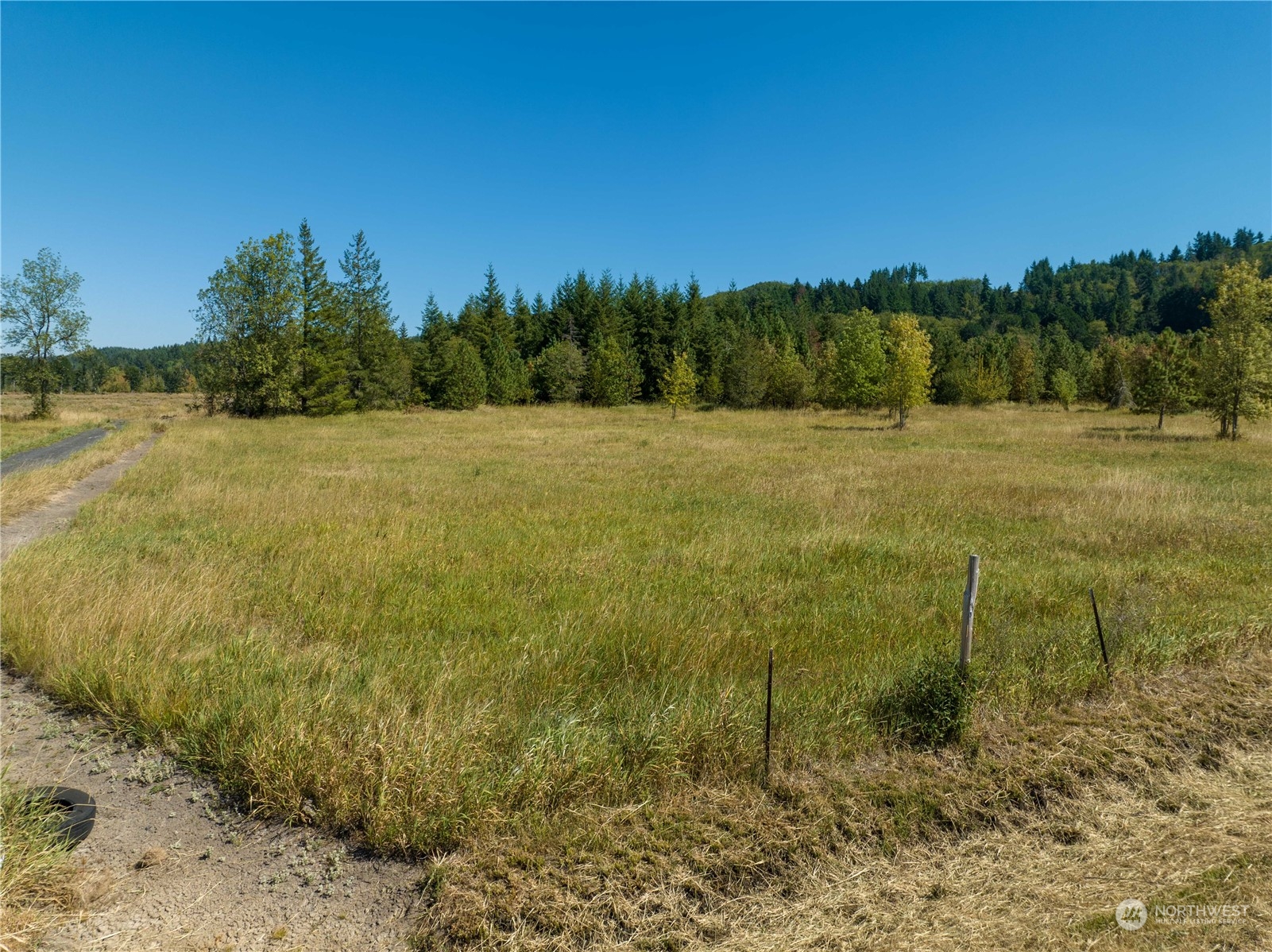 2 Maw Road Toledo, WA 98591 - Photo 24 of 26 a view of a field with an trees