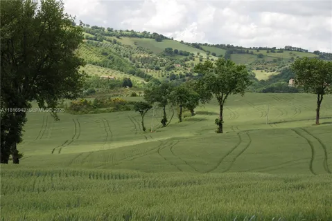$17,000,000 | Assisi Frazione S Gregorio