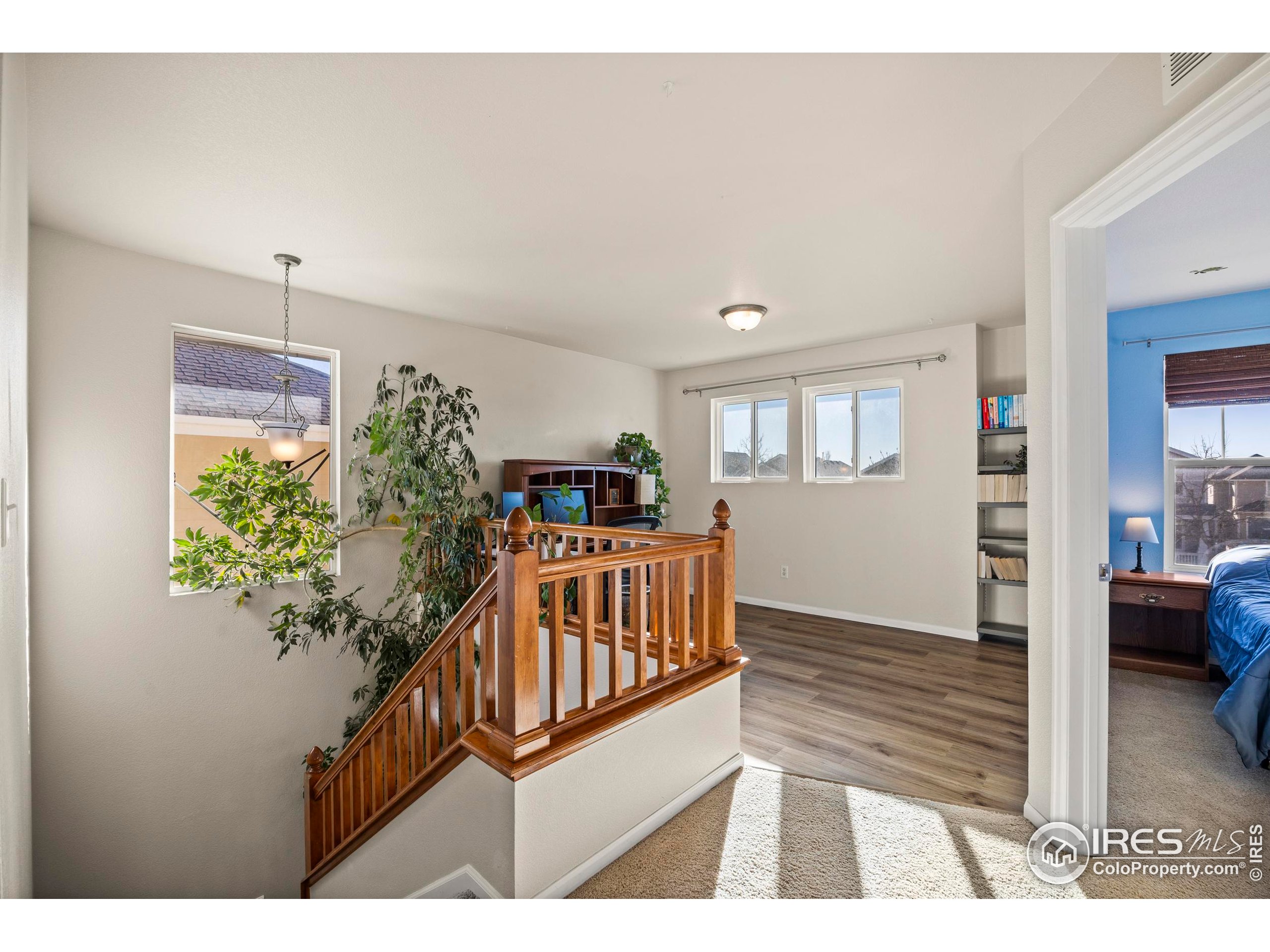 2144 Brightwater Drive Fort Collins, CO 80524 - Photo 23 of 41