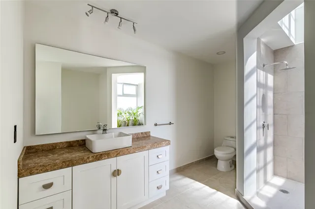 a bathroom with a potted plant