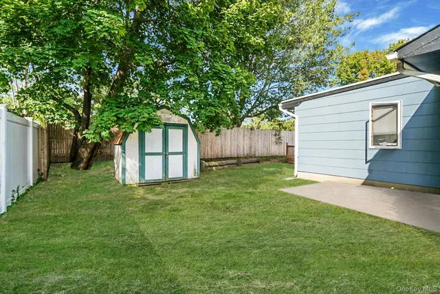 a view of a backyard with a large tree