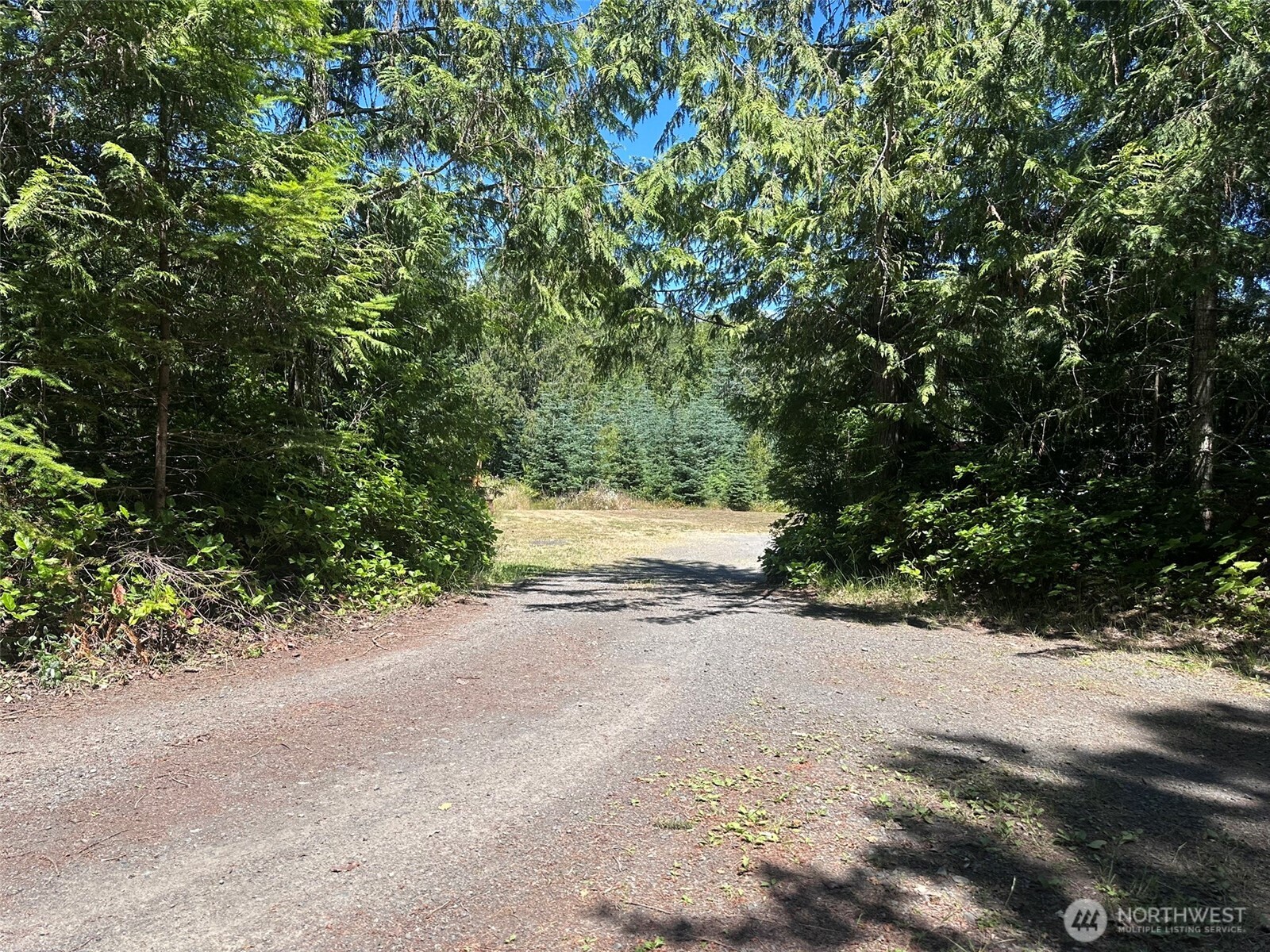 755 Dan Kelly Road Port Angeles, WA 98363 - Photo 1 of 38 Gallery Image 1