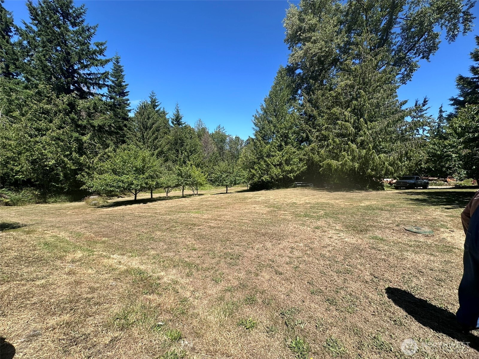 755 Dan Kelly Road Port Angeles, WA 98363 - Photo 31 of 38 Gallery Image 31