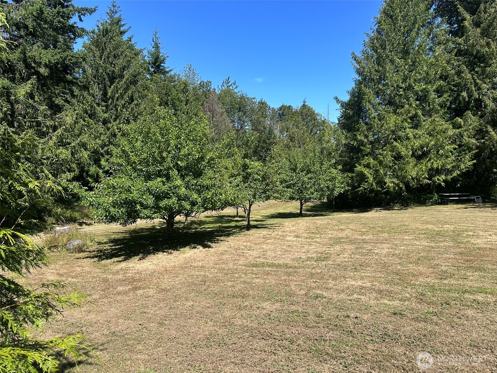 755 Dan Kelly Road Port Angeles, WA 98363 - Photo 33 of 38 Gallery Image 33