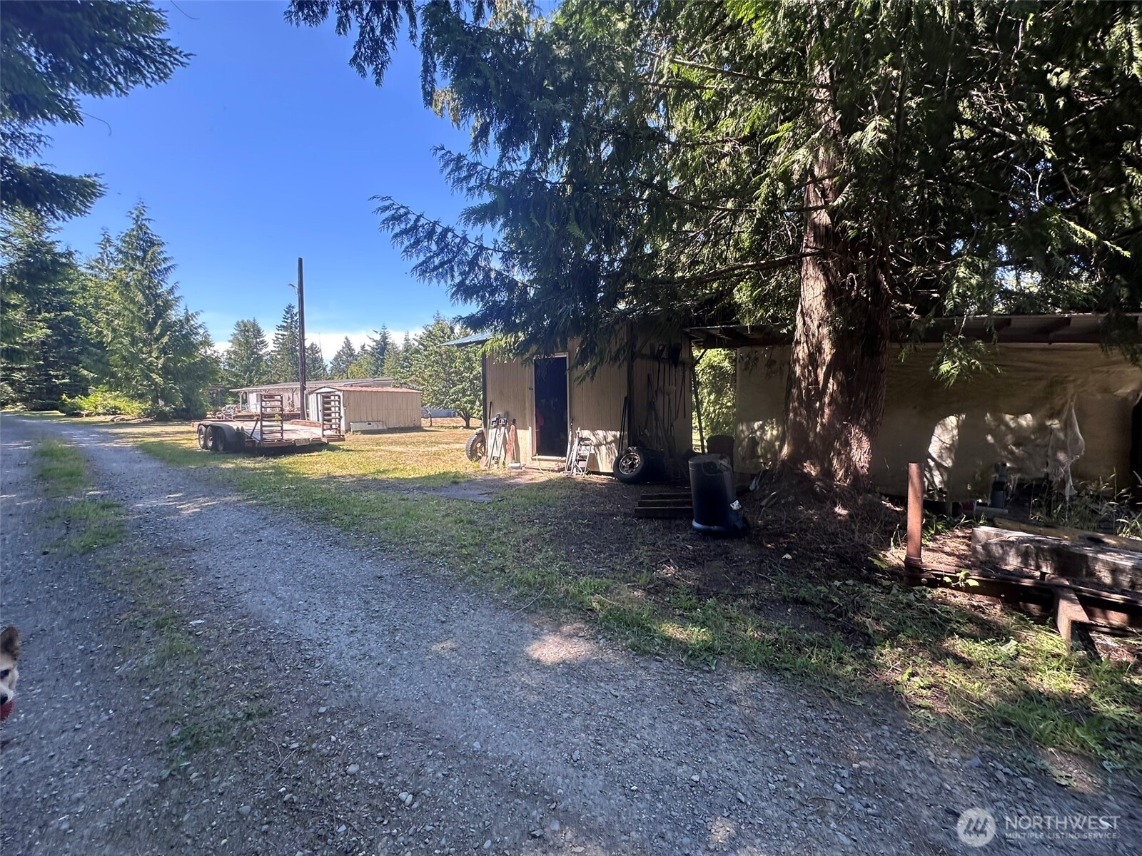 755 Dan Kelly Road Port Angeles, WA 98363 - Photo 5 of 38 Gallery Image 5