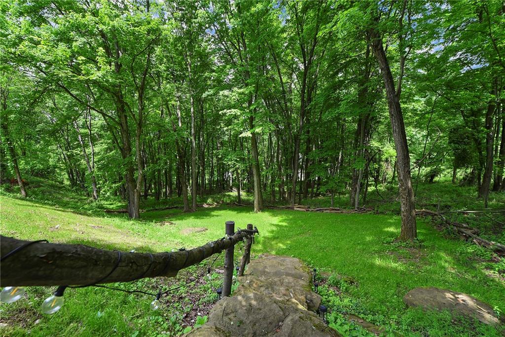 7018 Franklin Road Seven Fields, PA 16046 - Photo 45 of 48 a view of a park with a tree