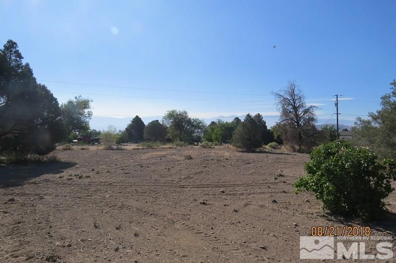 3830 Pebble Road Wellington, NV 89444 - Photo 5 of 21 Photo 5