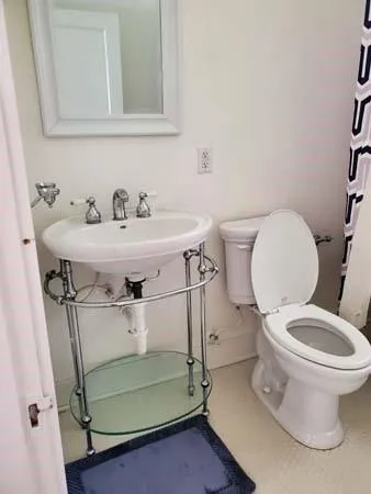a bathroom with a sink and a toilet