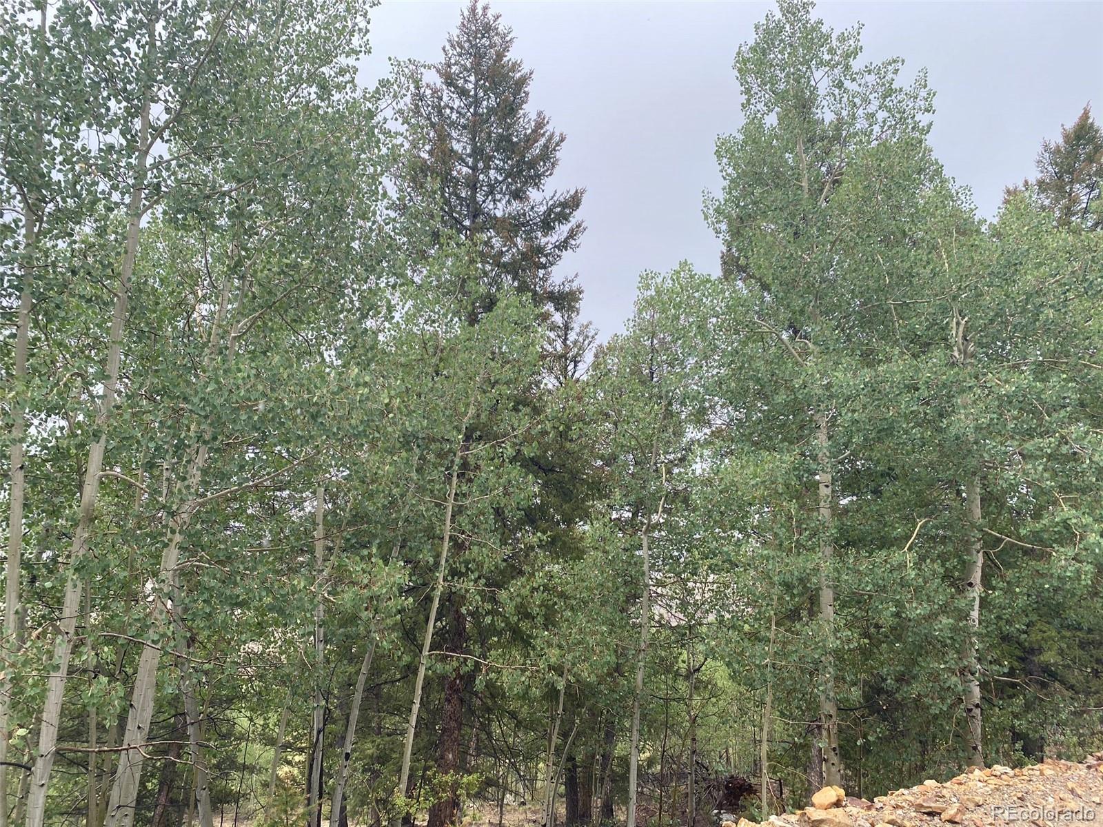 2293 Redhill Road Fairplay, CO 80440 - Photo 2 of 6 Gallery Image 2