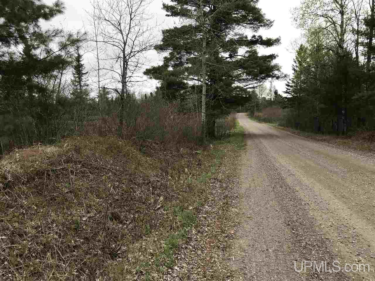 40-ac Kelso Road Crystal Falls, MI 49920 - Photo 16 of 21