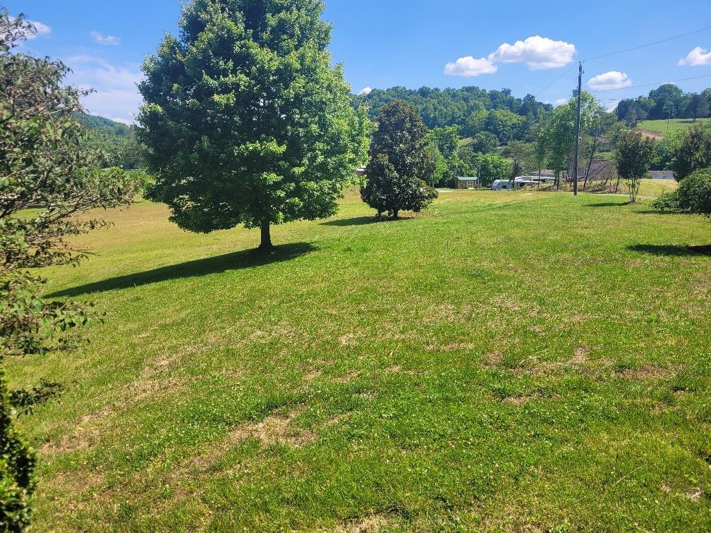 1 River Road Church Hill, TN 37642 - Photo 26 of 37 Main extra acreage