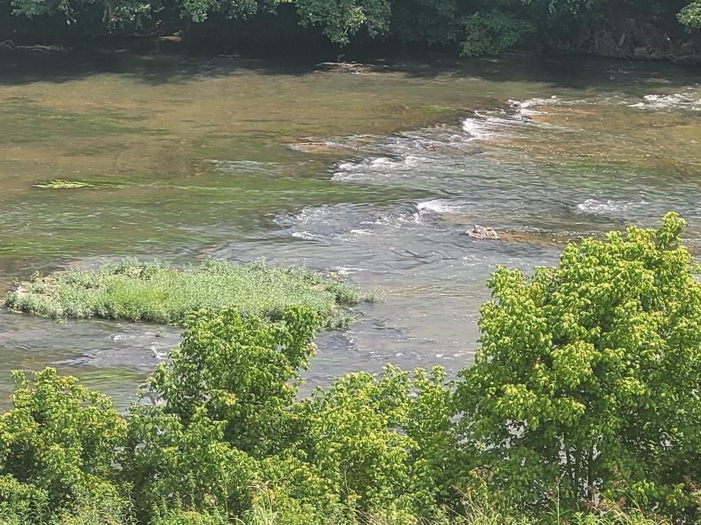 1 River Road Church Hill, TN 37642 - Photo 37 of 37 main river view