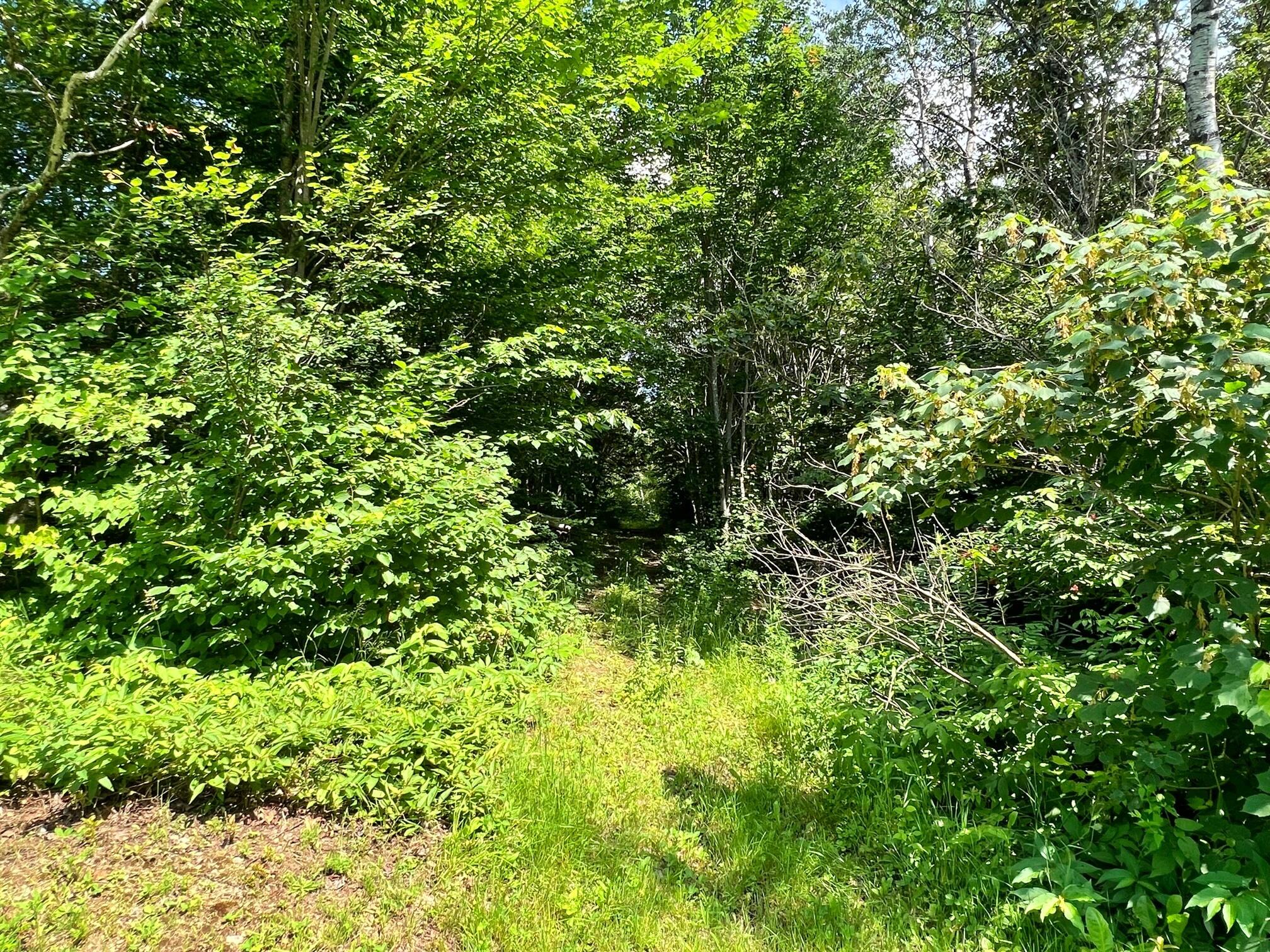 1224 Sly Brook Road Eagle Lake, ME 04739 - Photo 10 of 23 IMG_1198