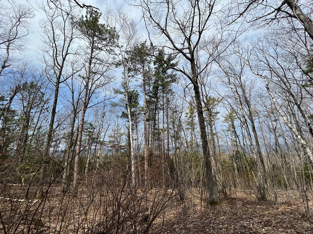 Lot 5 High Bluff Estates Road Sturgeon Bay, WI 54235 - Photo 6 of 7 Gallery Image 6