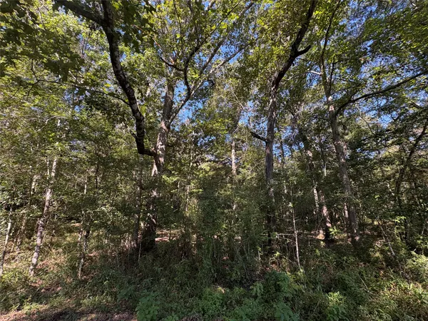 a view of outdoor space and trees
