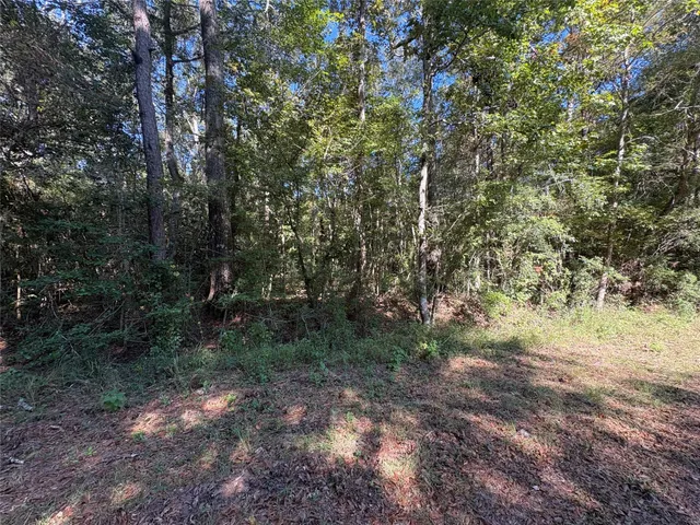 $160,000 | 0 Fm 787, Thicket, TX 77374