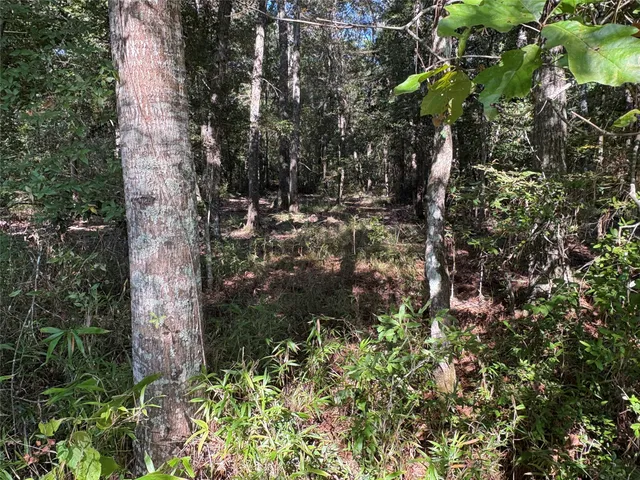 $160,000 | 0 Fm 787, Thicket, TX 77374