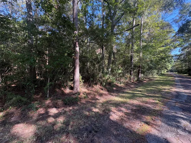 $160,000 | 0 Fm 787, Thicket, TX 77374