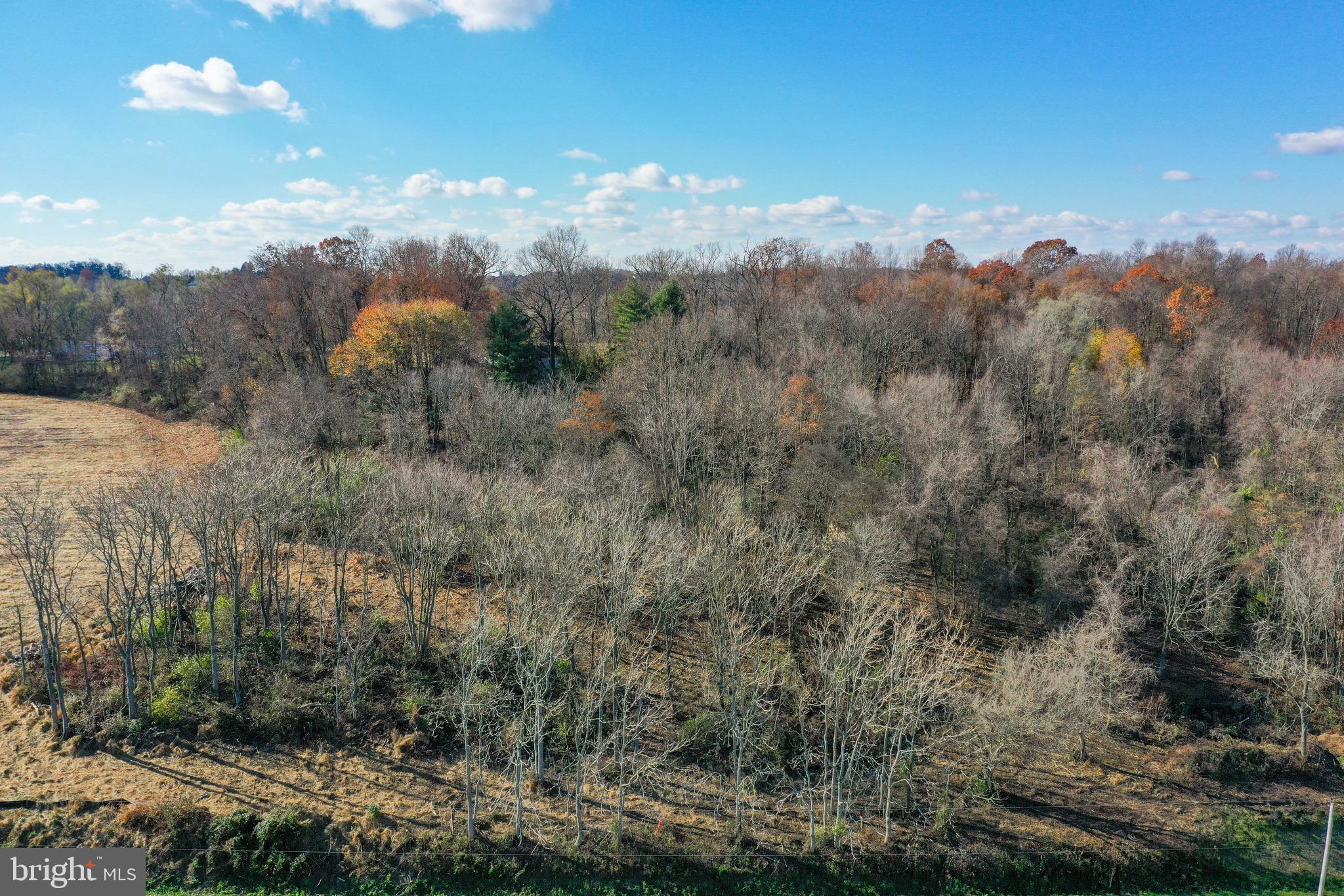 Lot 6 Hain Road New Freedom, PA 17349 - Photo 19 of 29 Gallery Image 19